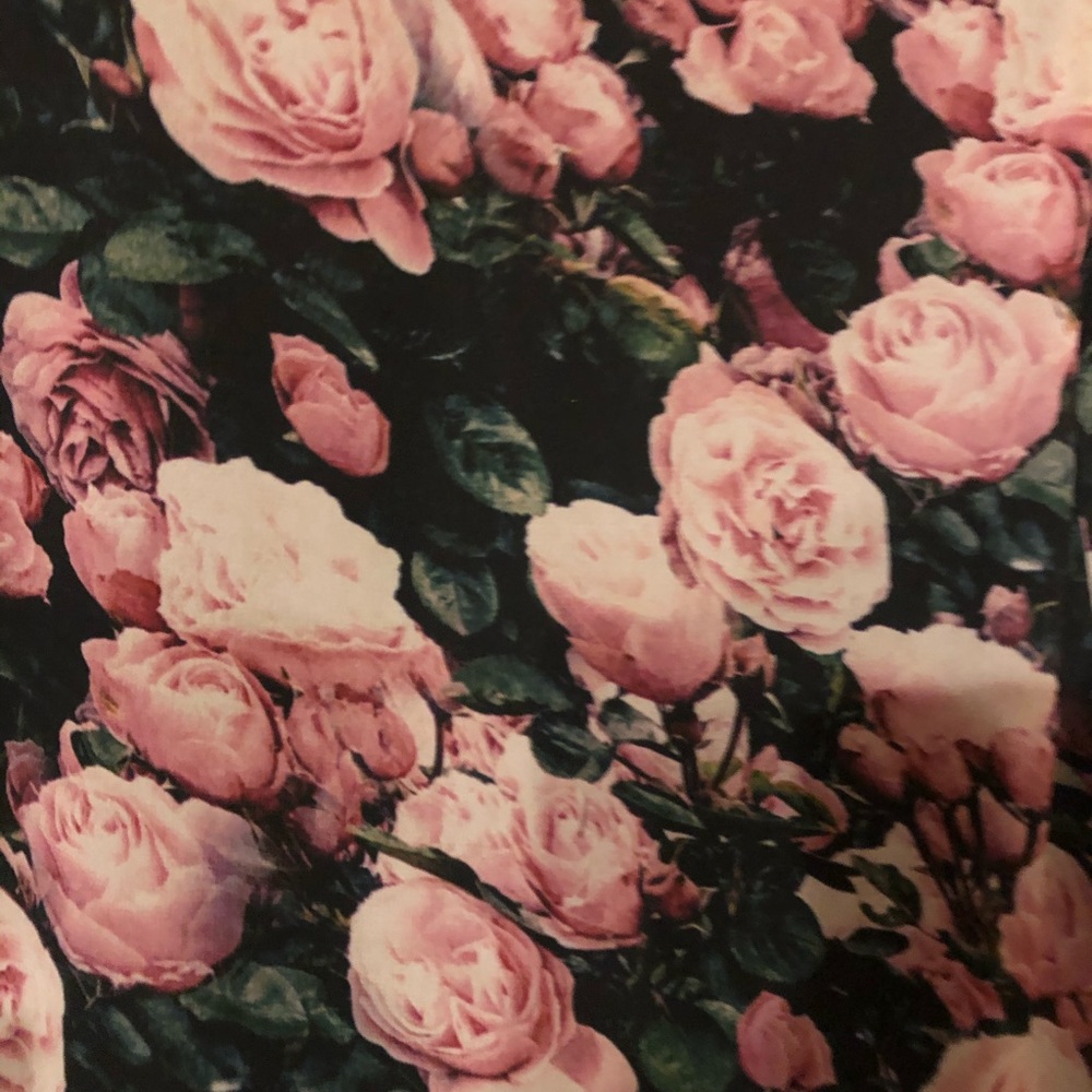 Show Me Your MuMu floral dress - Picture 6 of 7
